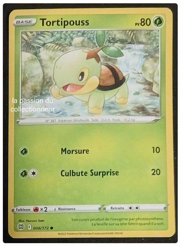 Carte pokémon de Tortipouss 096/172