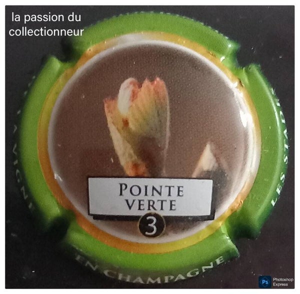 Capsule de champagne générique