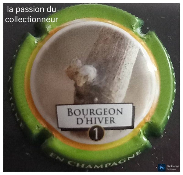 Capsule de champagne générique