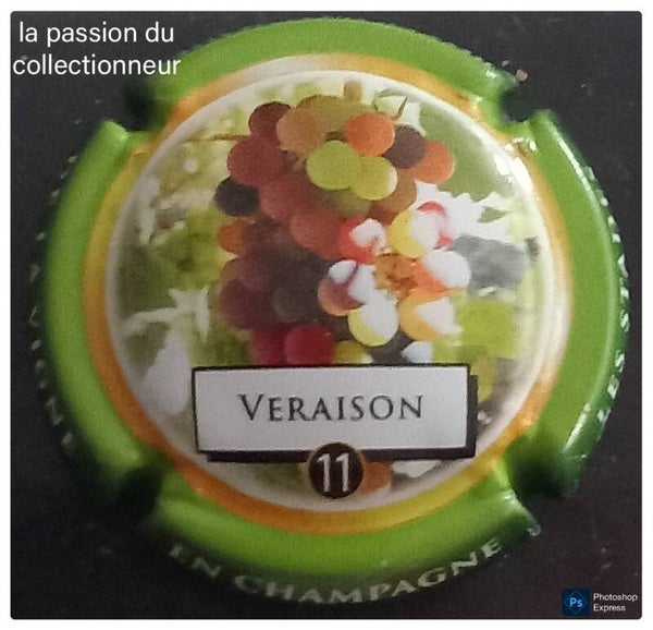 Capsule de champagne générique
