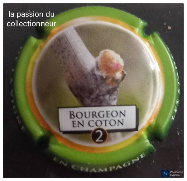 Capsule de champagne générique