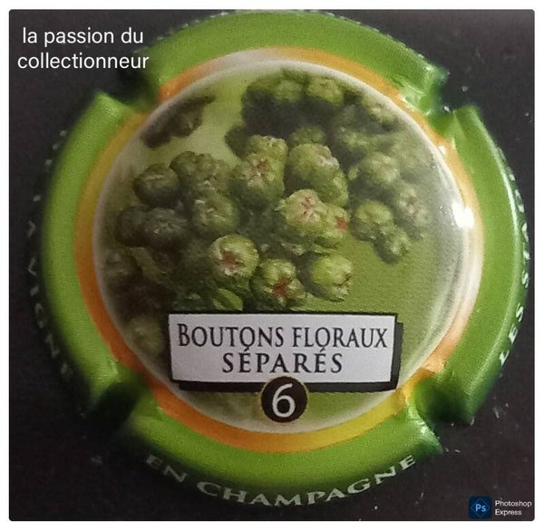 Capsule de champagne générique