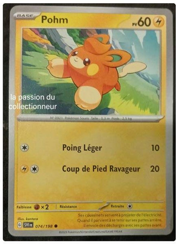 Carte pokémon de Pohm 074/198