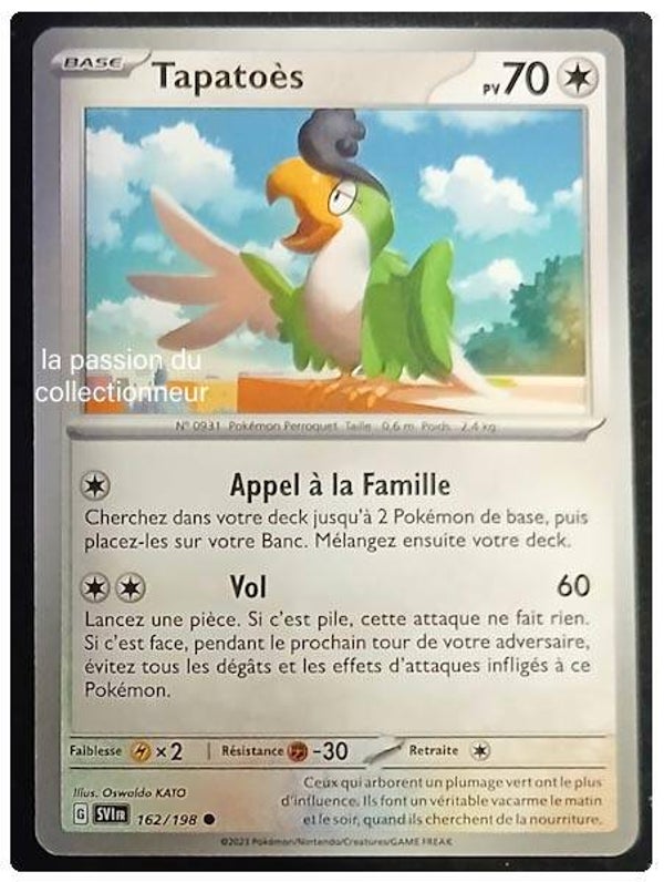 Carte pokémon de Tapatoés 162/198