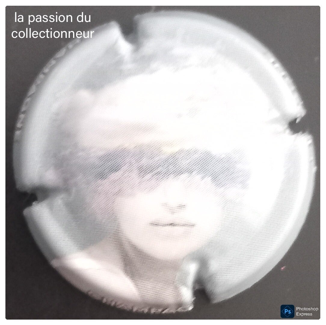 Capsule de champagne générique