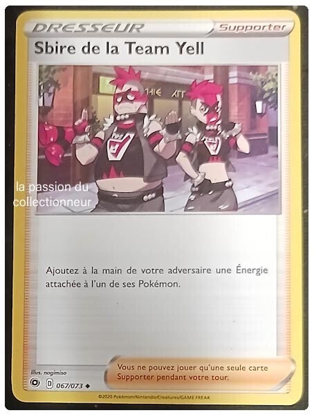 Carte pokémon de Sbire de la Team Yell 067/073