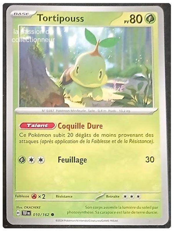 Carte pokémon de Tortipouss 010/162
