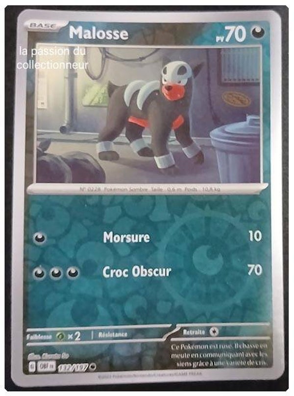 Carte pokémon de Malosse 132/197 reverses