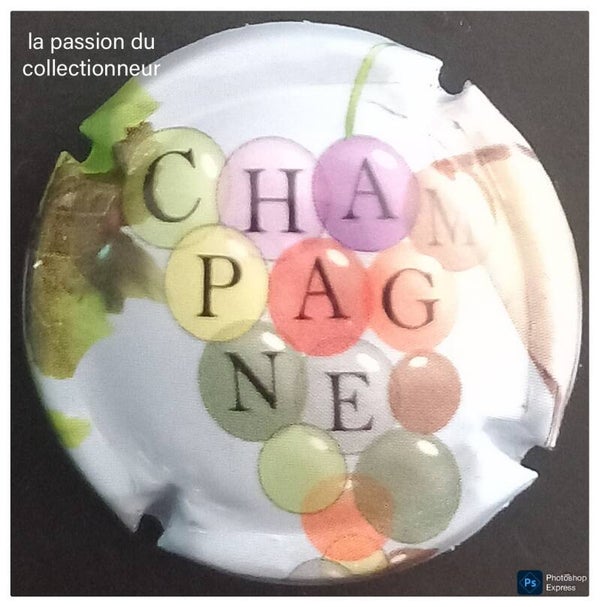 Capsule de champagne générique