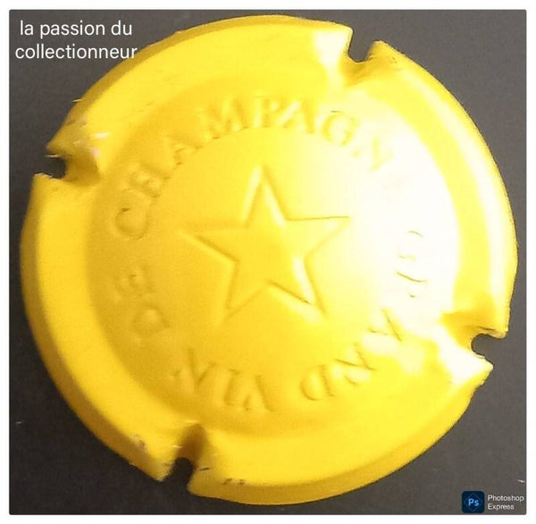 Capsule de champagne générique