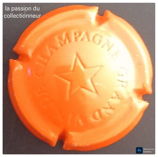 Capsule de champagne générique