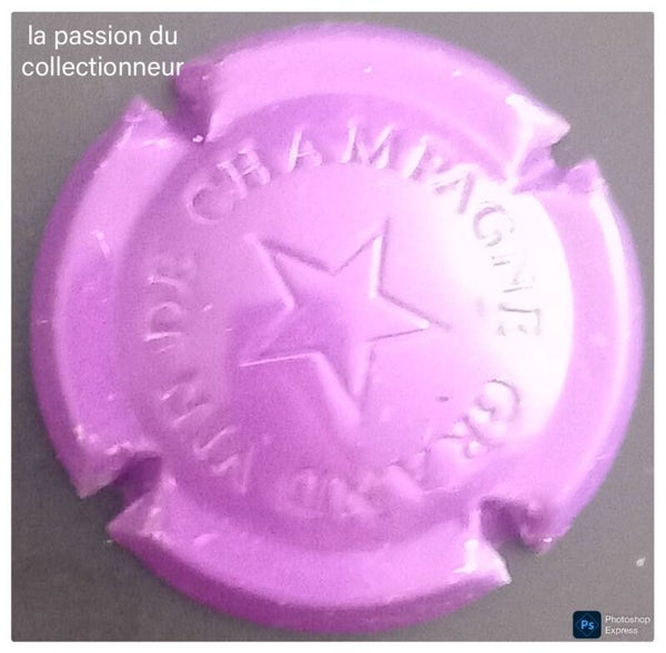 Capsule de champagne générique