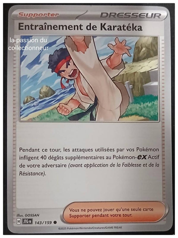 Carte pokémon de l'Entrainement de Karatéka 143/159 commune
