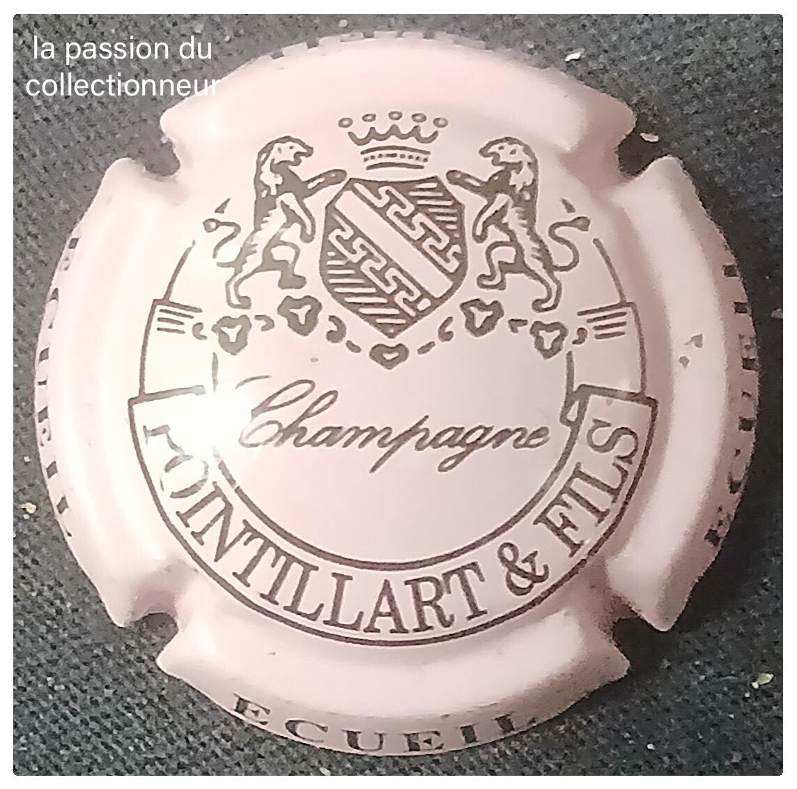 Capsule de champagne Pointillard et Fils