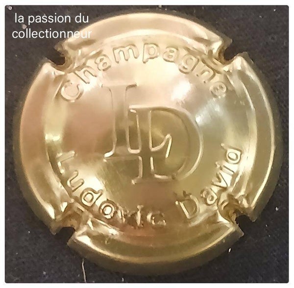 Capsule de champagne David Ludovic