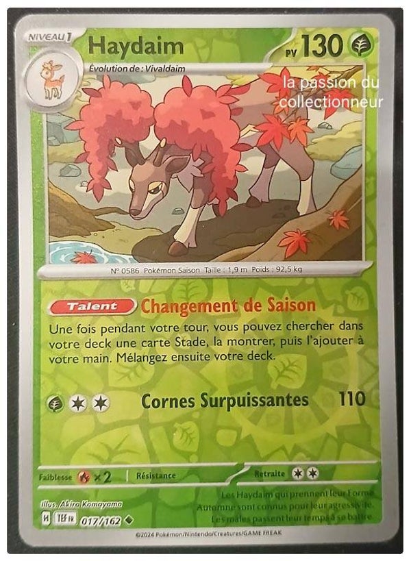 Carte pokémon de Haydaim 017/162 reverses