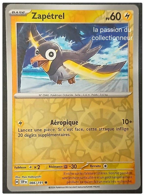 Carte pokémon de Zapétrel 066/191 reverses