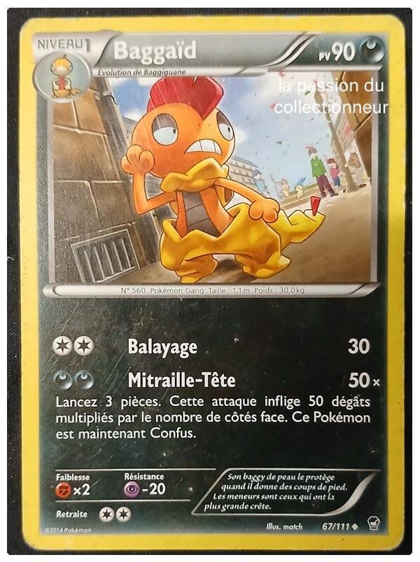 Carte pokémon de Baggaïd 67/111 peu commune