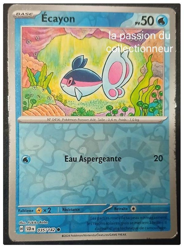 Carte pokémon de Écayon 035/142 reverses