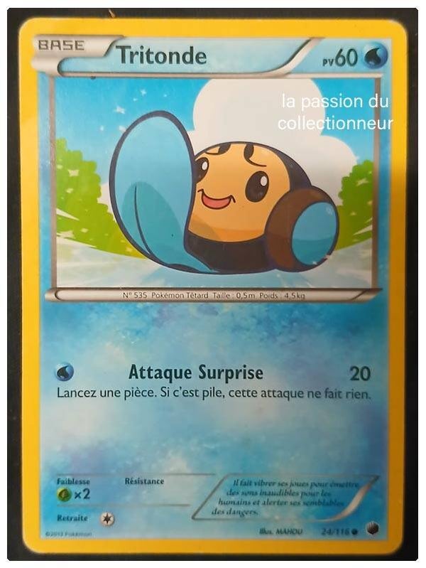 Carte pokémon de tritonde 24/116 commune