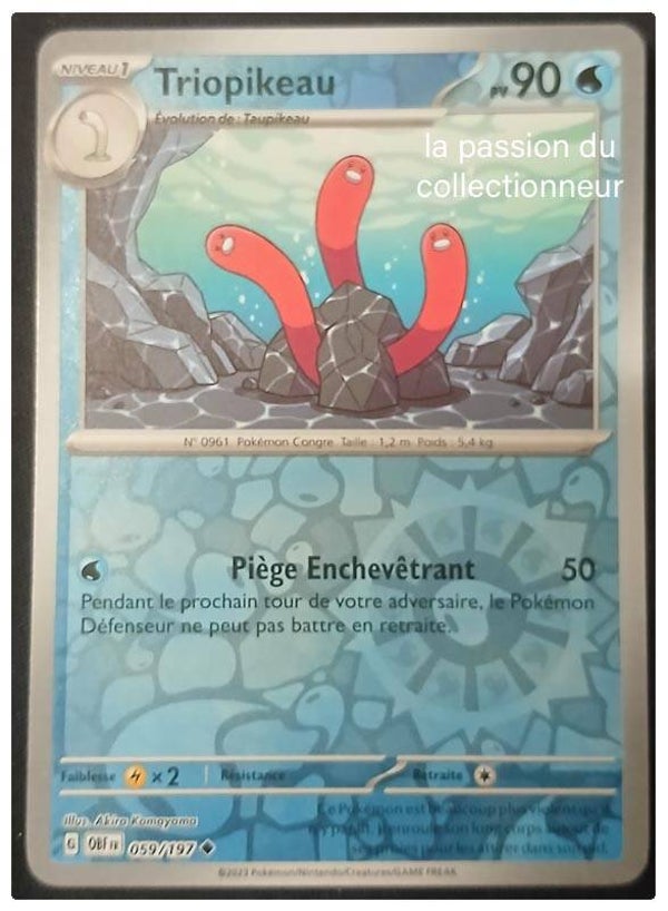 Carte pokémon de Triopikeau 059/197 reverses