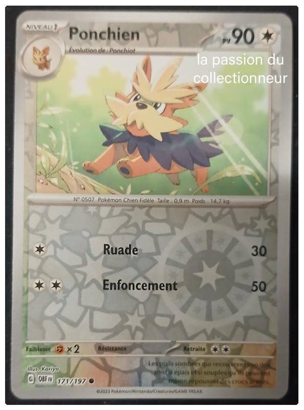 Carte pokémon de Ponchien 171/197 reverses