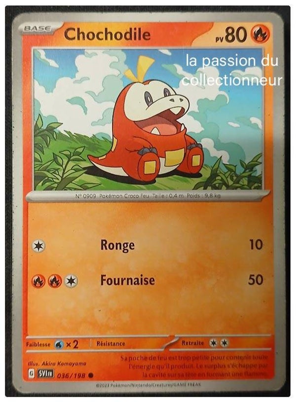 Carte pokémon de Chochodile 036/198 commune