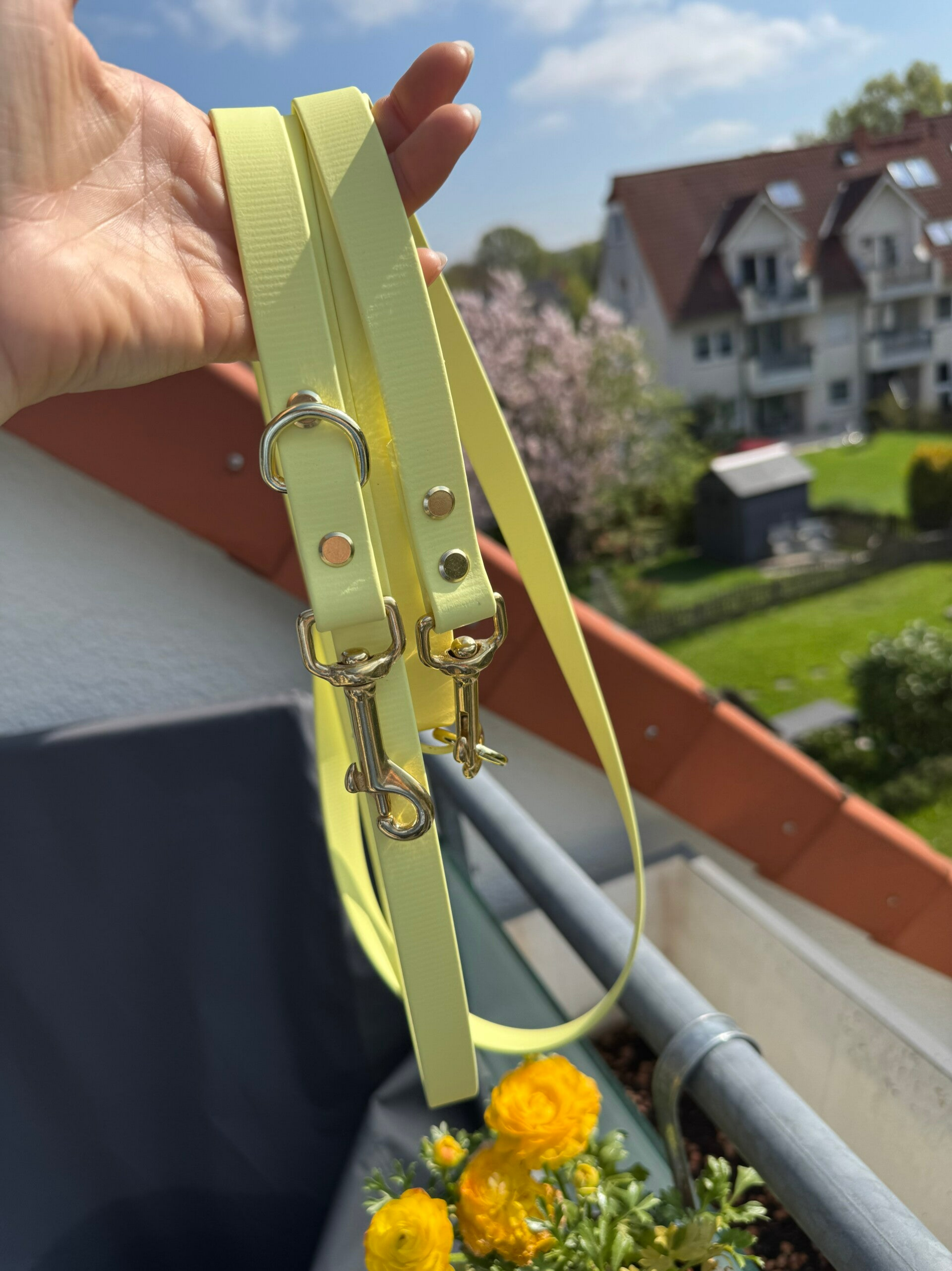 Hundeleine aus Biothane | Design your own