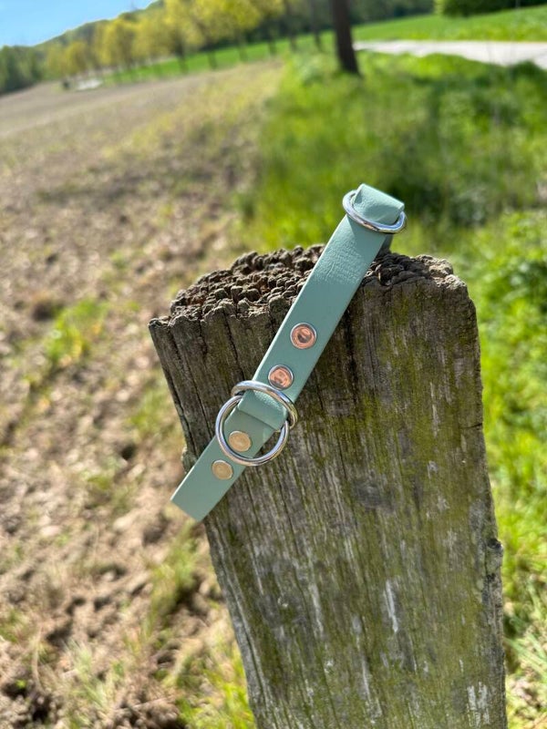 Zug-Stopp Halsband aus Biothane