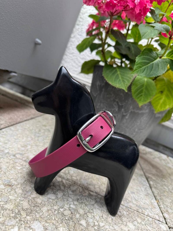 Halsband aus Biothane | Design your own