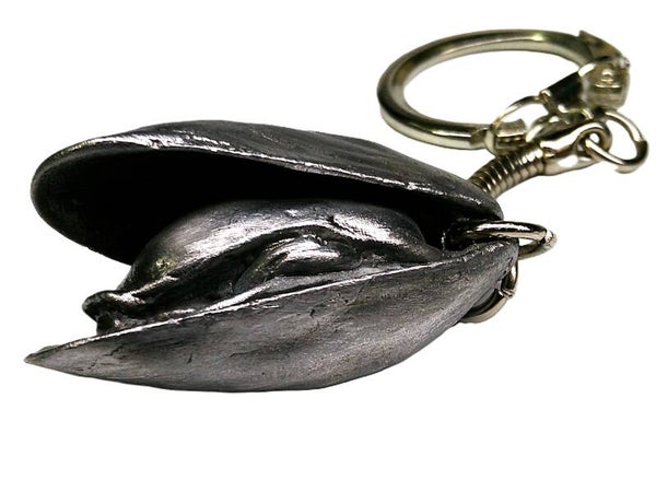 Moules entrouverte