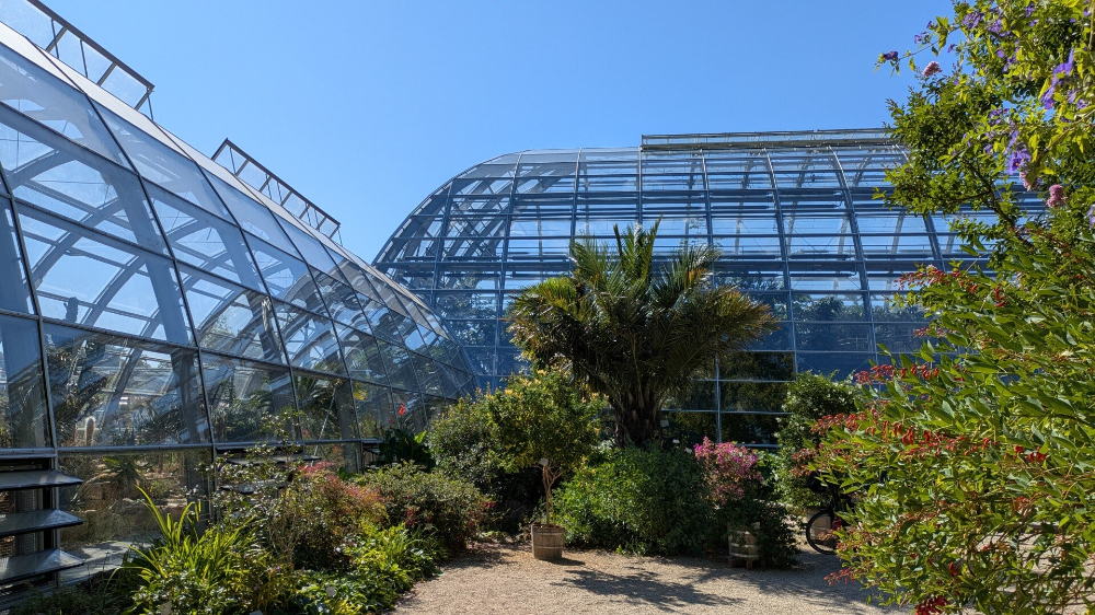 Moderne Schau-Gewächshäuser der Kölner Flora im sanften Tageslicht