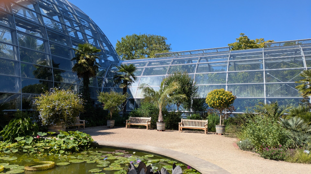 Schau-Gewächshäuser der Flora Köln aus verschiedenen Perspektiven