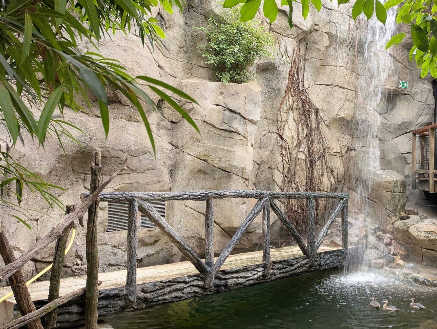 Ein Blick auf eine Hängebrücke neben einem Wasserfall im neuen Drachenhaus im Kölner Zoo