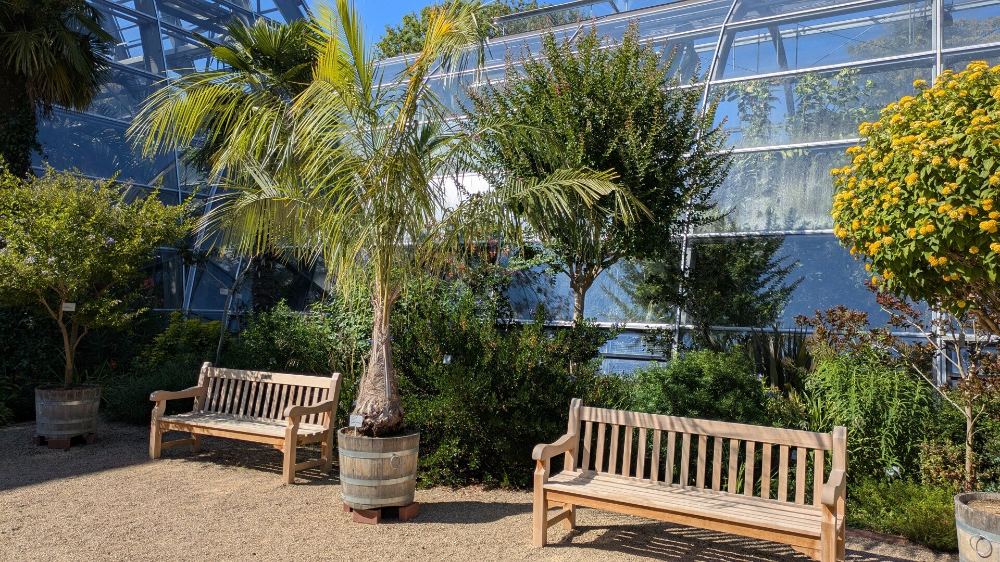 Glashäuser der Kölner Flora mit Spiegelungen von Himmel und Grün