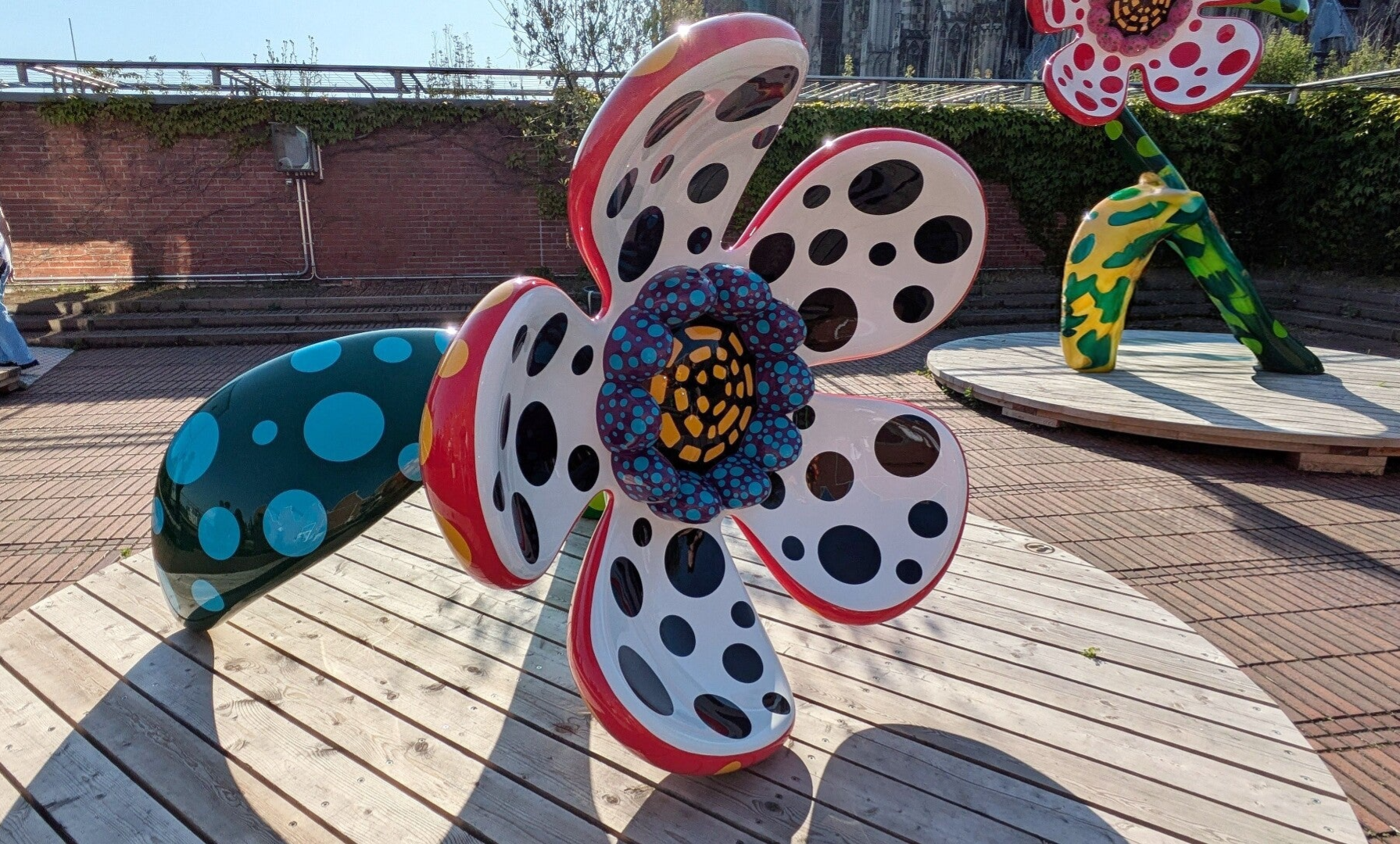Eine grosse bunte Blume auf dem Dach des Museeums  bei der Ausstellung  Yayoi Kusama im Museum Ludwig in Köln