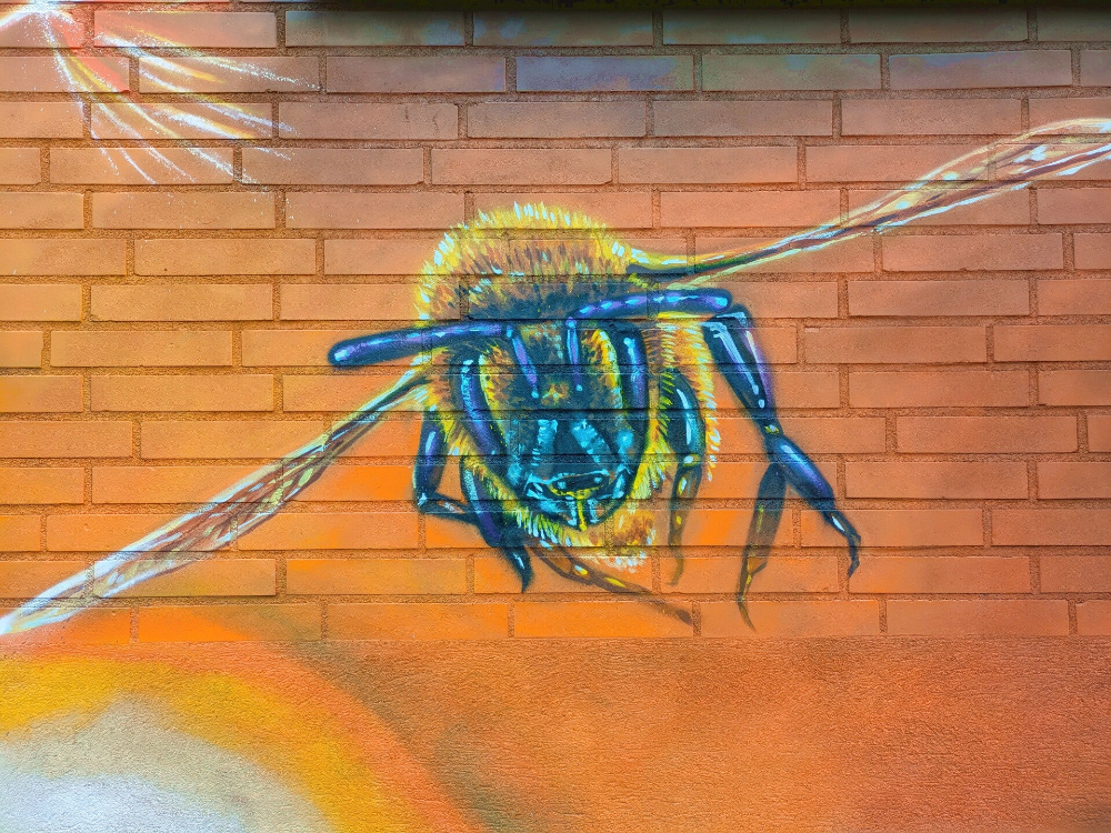 Große Biene als farbenfrohe Wandmalerei – StreetArt in Köln-Kalk