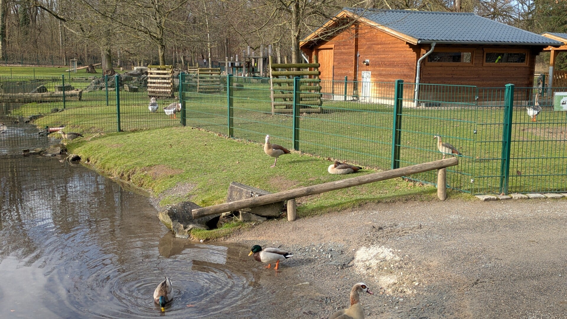 Kleine Reisen Köln – Besuch im Lindenthaler Tierpark