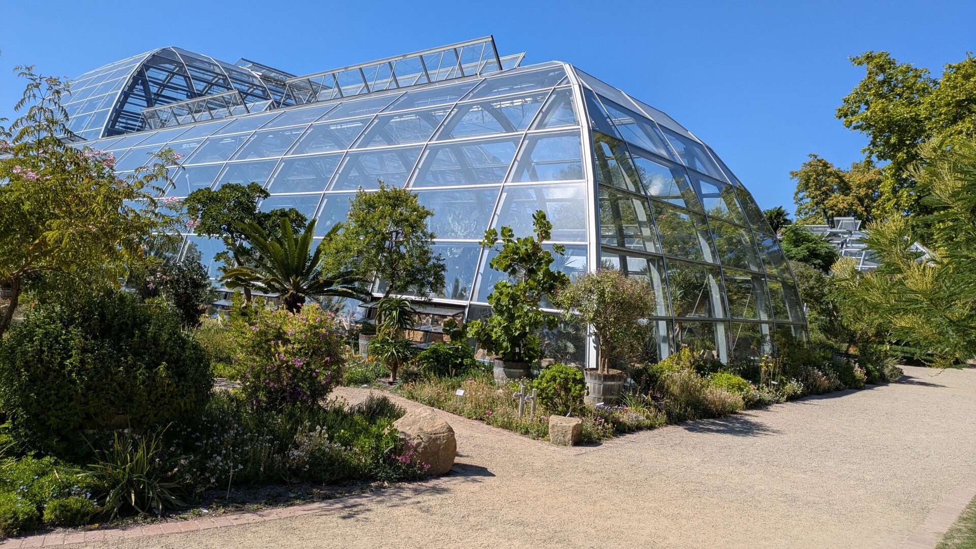Moderne Schau-Gewächshäuser der Kölner Flora im sanften Tageslicht