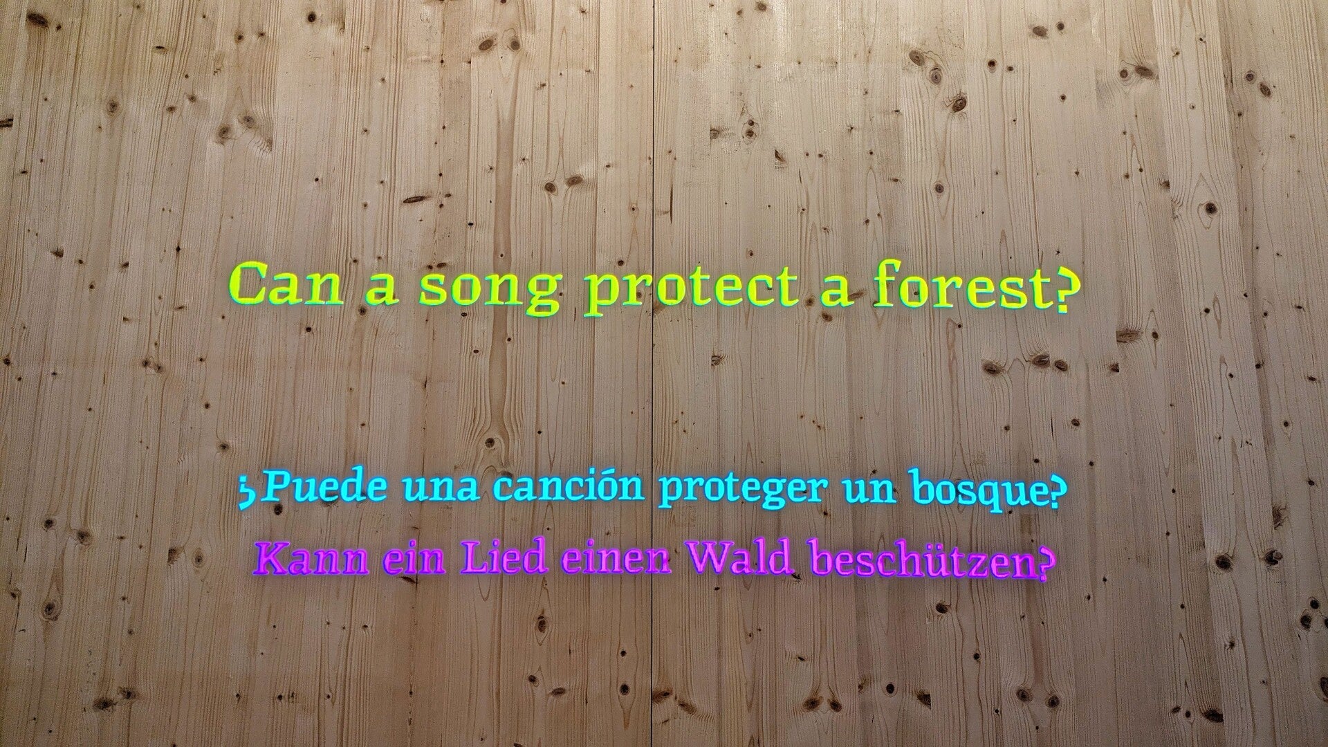 Illustration: „Kann ein Lied einen Wald beschützen?“