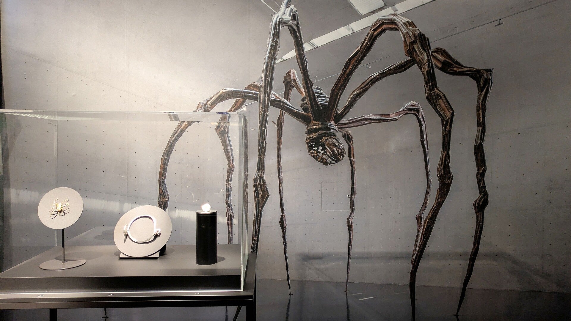 Zwischen Bewegung und Licht – Ohrschmuck als kleines Kunstwerk