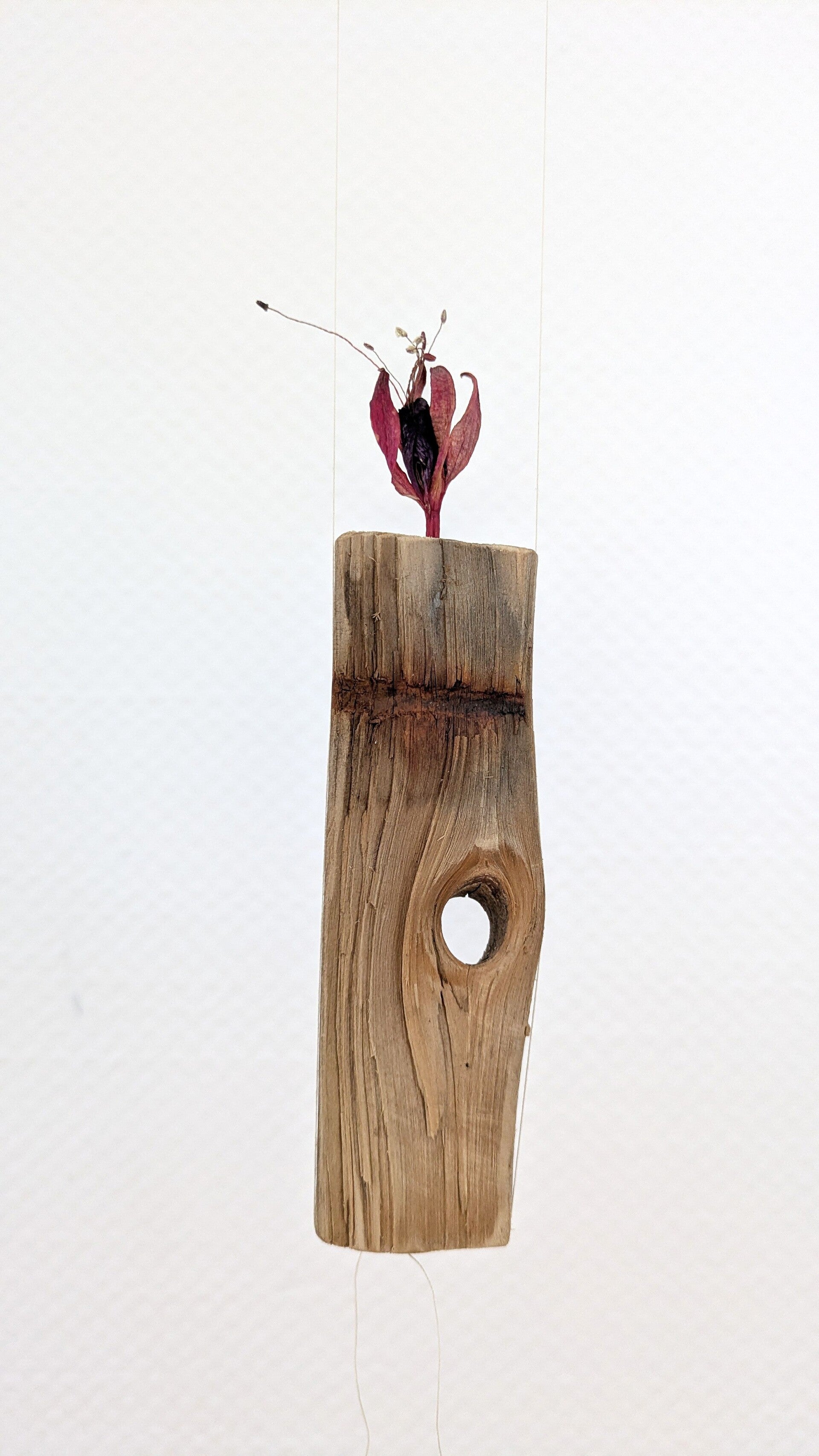 Ein Holzstück mit Astloch und rosafarbene Blüte in der Ausstellung „Blütenbriefe“.