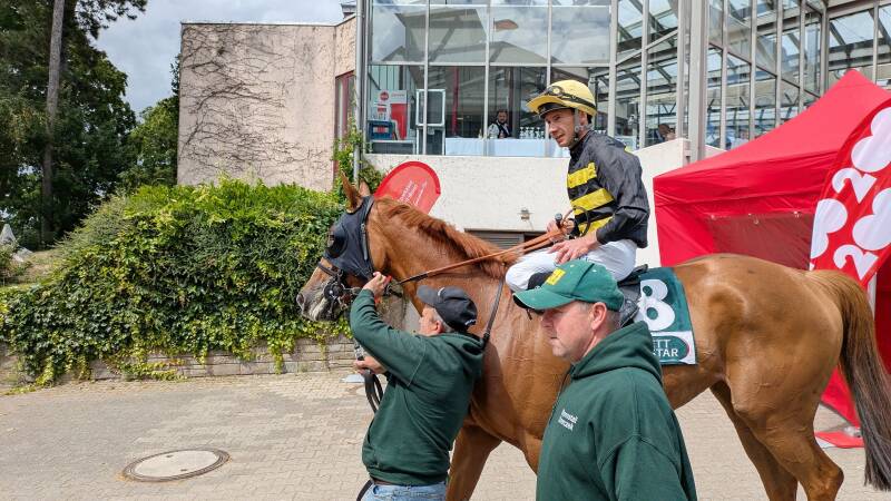 Ein Sieger mit seinem Rennpferd und der Startnummer 8 bei der Pferderennbahn in Köln