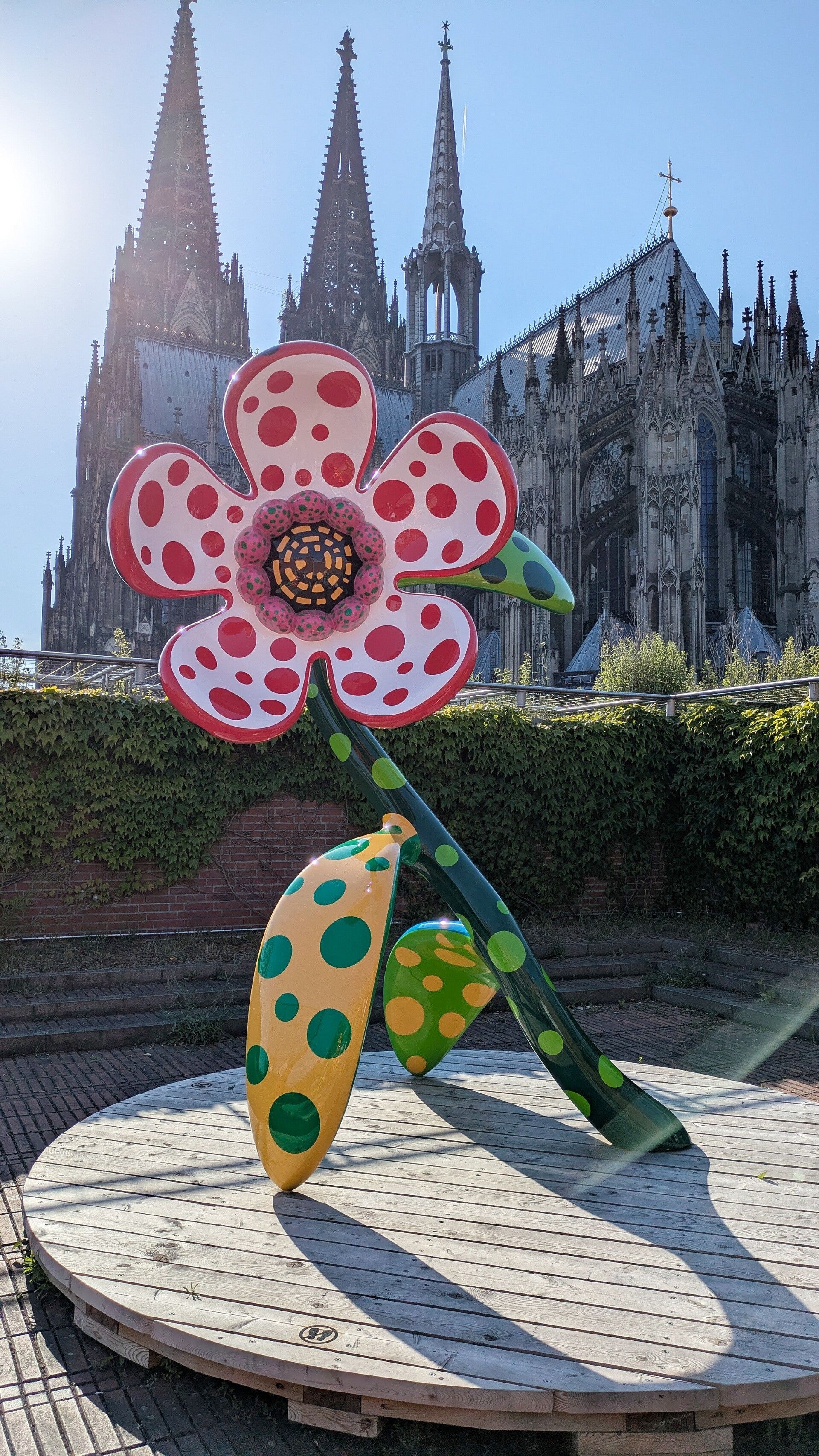 Eine grosse Blume in Pappmachee im Hintergrund der Dom  bei der Ausstellung  Yayoi Kusama im Museum Ludwig in Köln