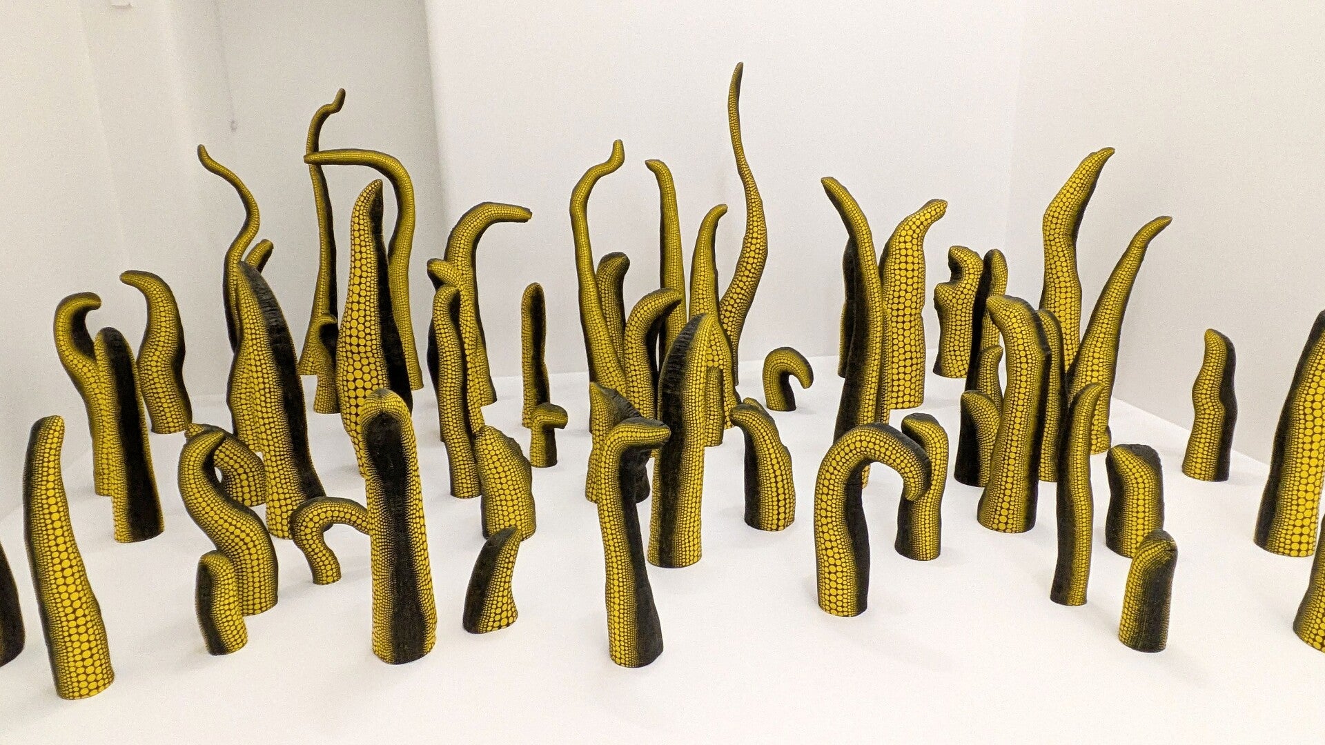 Viele grüngelbe Krakenarme  bei der Ausstellung  Yayoi Kusama im Museum Ludwig in Köln