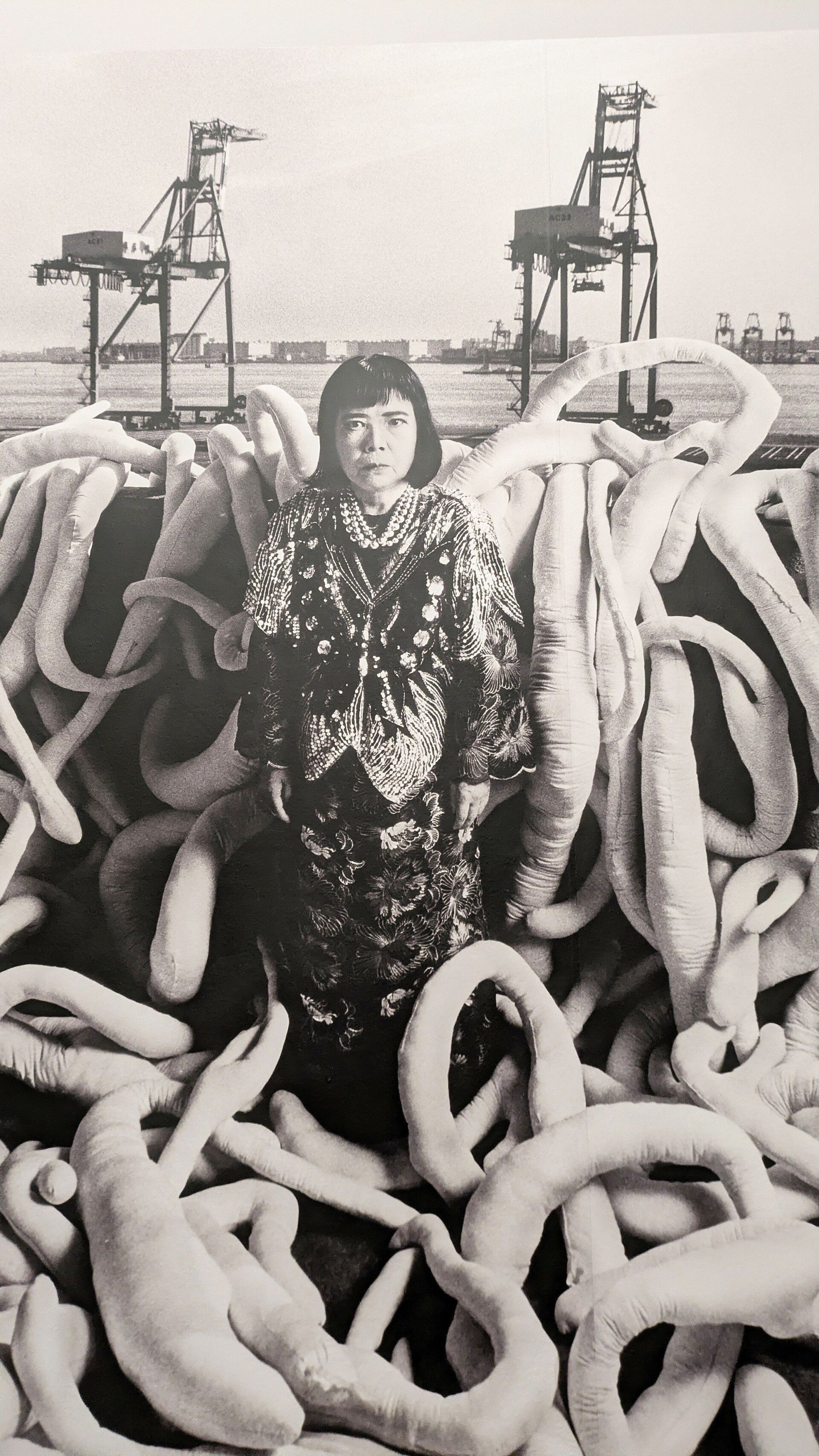 Ein Foto der Künstlerin im Hintergrund eines Hafen zwischen Krakenarmen  bei der Ausstellung  Yayoi Kusama im Museum Ludwig in Köln