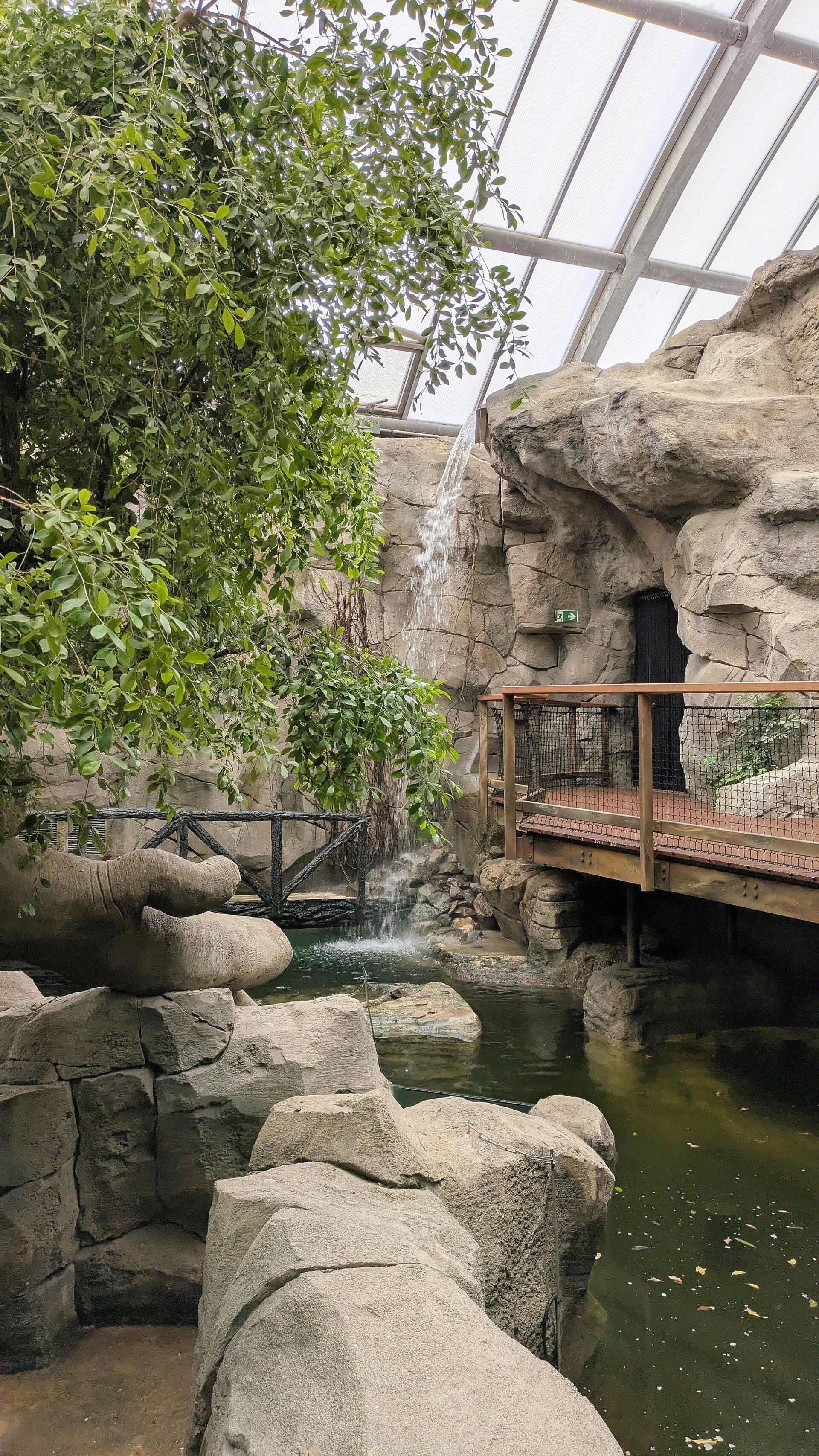 Blick auf eine schön angelegte Wasser- und Felsenlandschaft im neuen Drachenhaus im Kölner Zoo