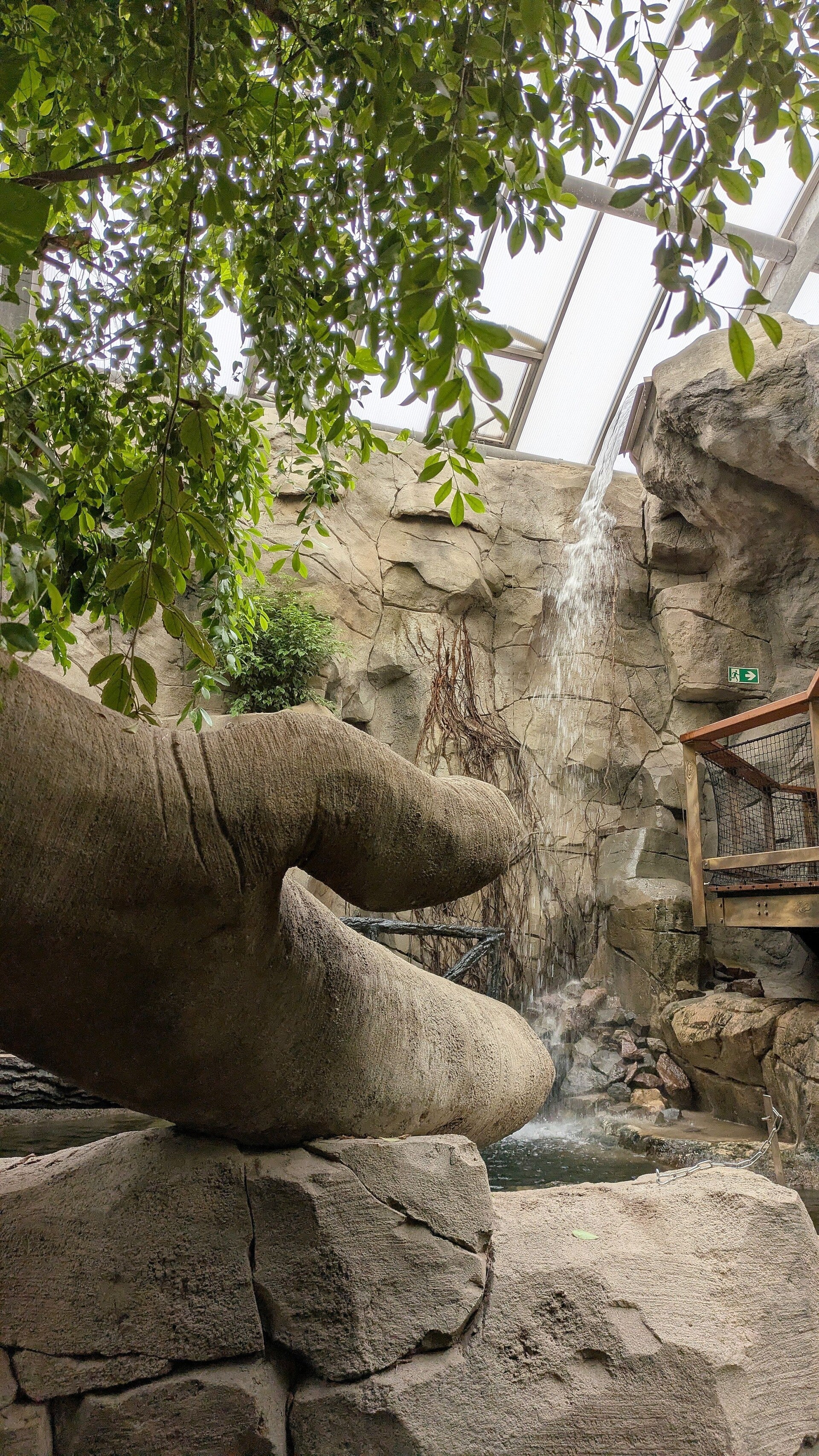Ein Blick auf eine wunderbar angelegte Felsenlandschaft mit vielen grünen Pflanzen im neuen Drachenhaus im Kölner Zoo