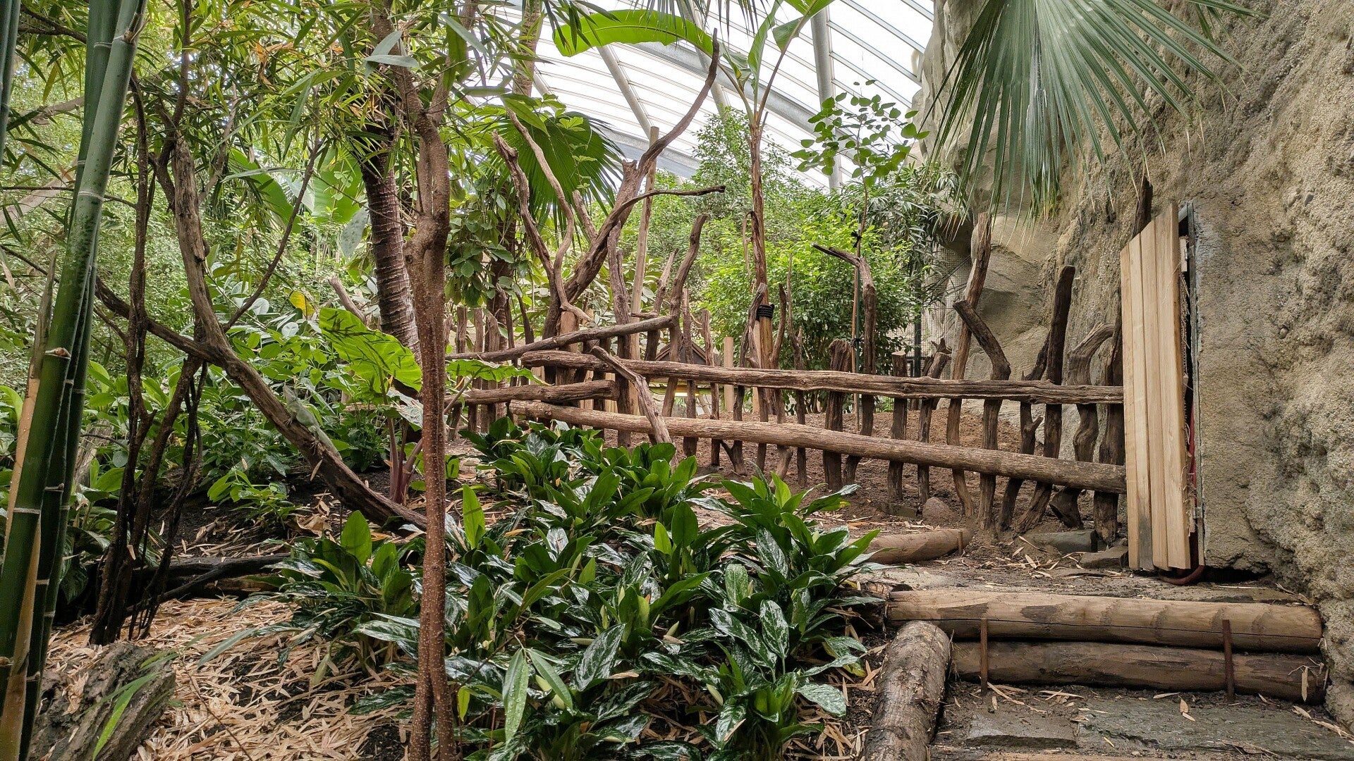 Blick auf eine grosse Pflanzenanlage mit  unzähligen Pflanzen und Blüten im neuen Drachenhaus im Kölner Zoo