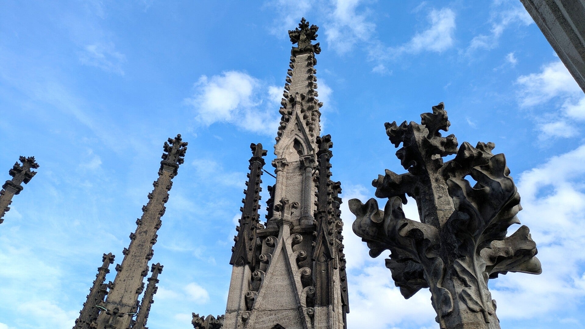 Ein schöner Blick auf mehrere kleine Türme auf dem Dach des Kölner Dom  bei der Führung " Über den Dächern von Köln "